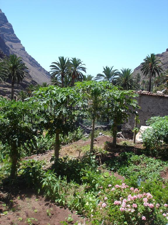 Goyo Gomera Apartments Valle Gran Rey Zewnętrze zdjęcie