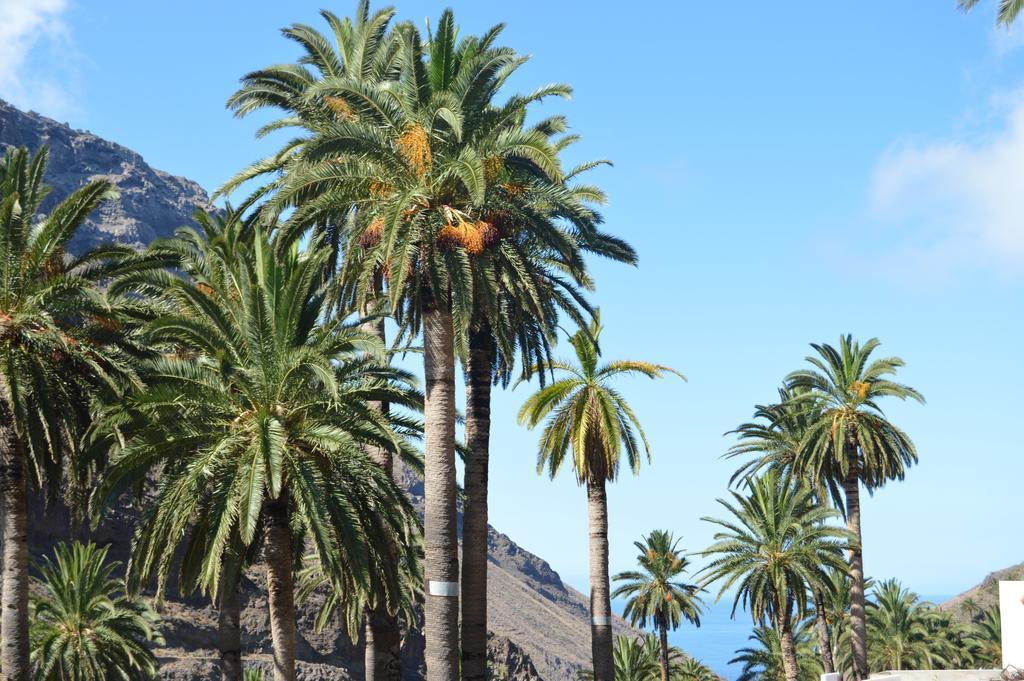Goyo Gomera Apartments Valle Gran Rey Zewnętrze zdjęcie