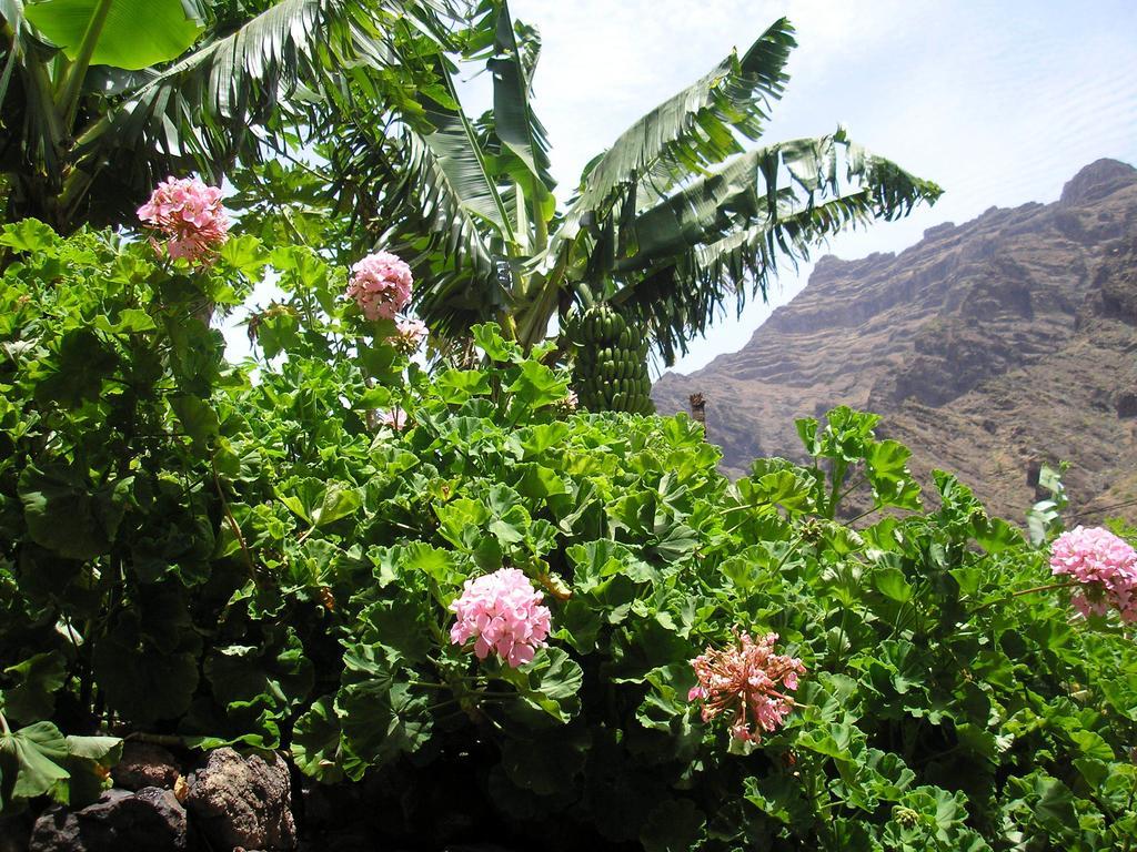 Goyo Gomera Apartments Valle Gran Rey Zewnętrze zdjęcie
