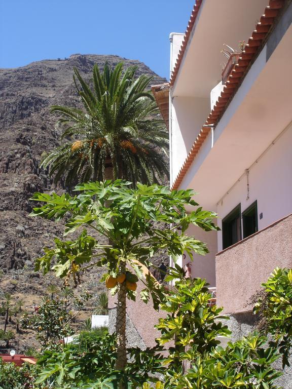 Goyo Gomera Apartments Valle Gran Rey Zewnętrze zdjęcie