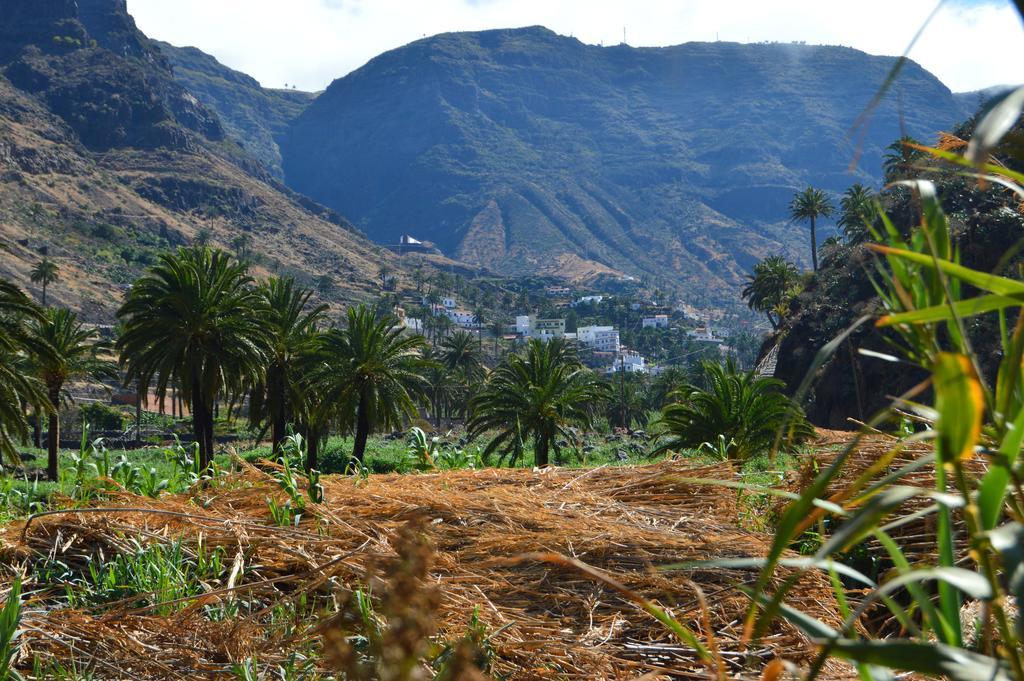 Goyo Gomera Apartments Valle Gran Rey Zewnętrze zdjęcie