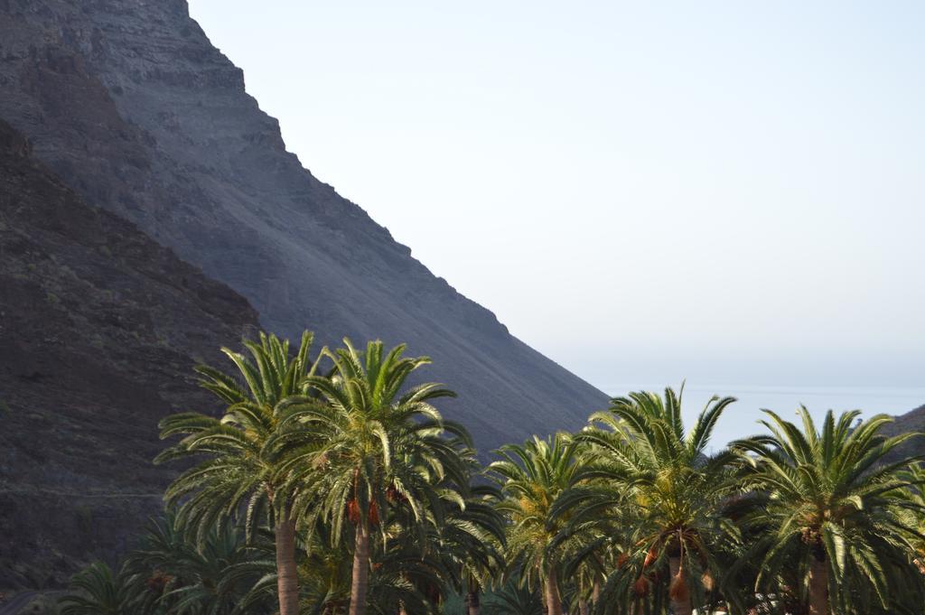 Goyo Gomera Apartments Valle Gran Rey Zewnętrze zdjęcie