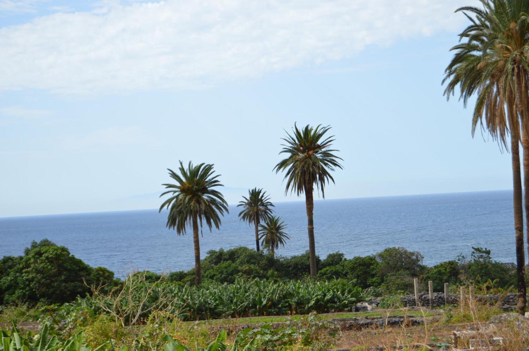 Goyo Gomera Apartments Valle Gran Rey Zewnętrze zdjęcie