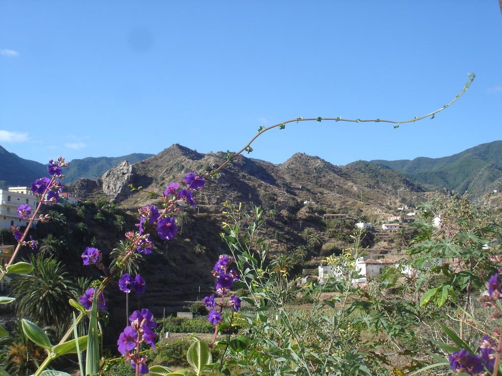 Goyo Gomera Apartments Valle Gran Rey Zewnętrze zdjęcie