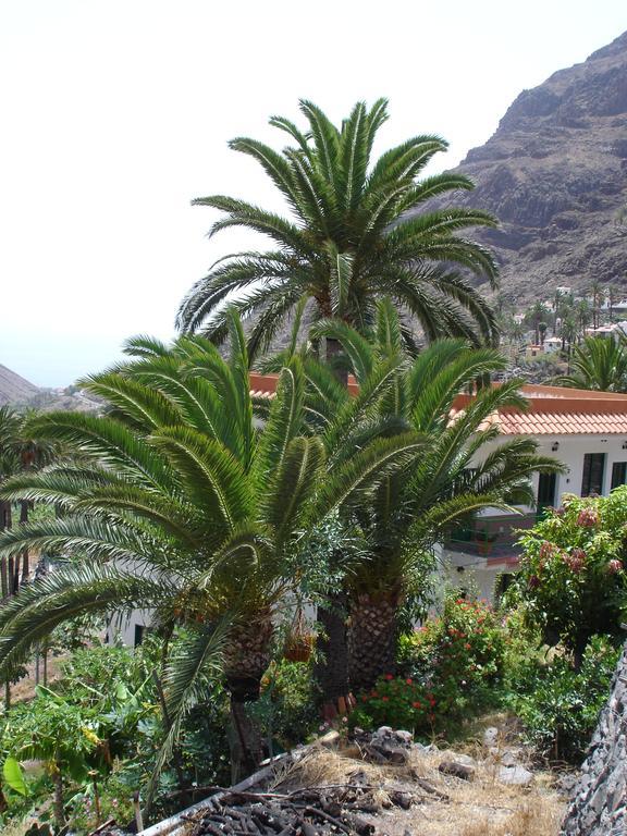 Goyo Gomera Apartments Valle Gran Rey Zewnętrze zdjęcie