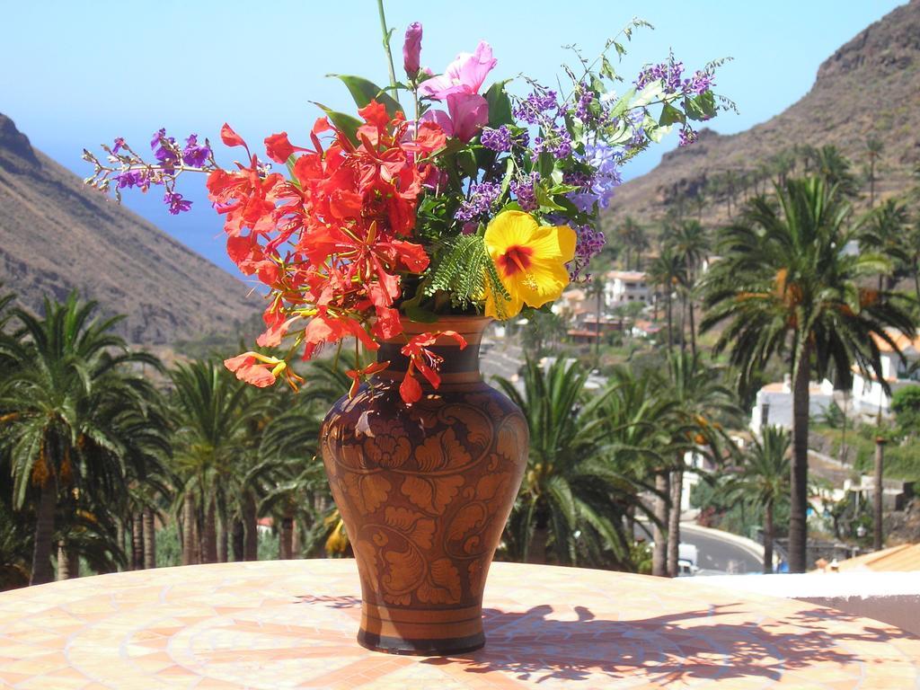 Goyo Gomera Apartments Valle Gran Rey Zewnętrze zdjęcie