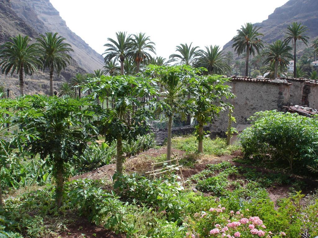 Goyo Gomera Apartments Valle Gran Rey Zewnętrze zdjęcie