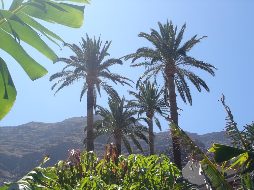 Goyo Gomera Apartments Valle Gran Rey Zewnętrze zdjęcie