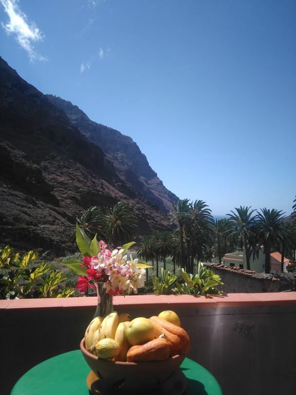 Goyo Gomera Apartments Valle Gran Rey Zewnętrze zdjęcie